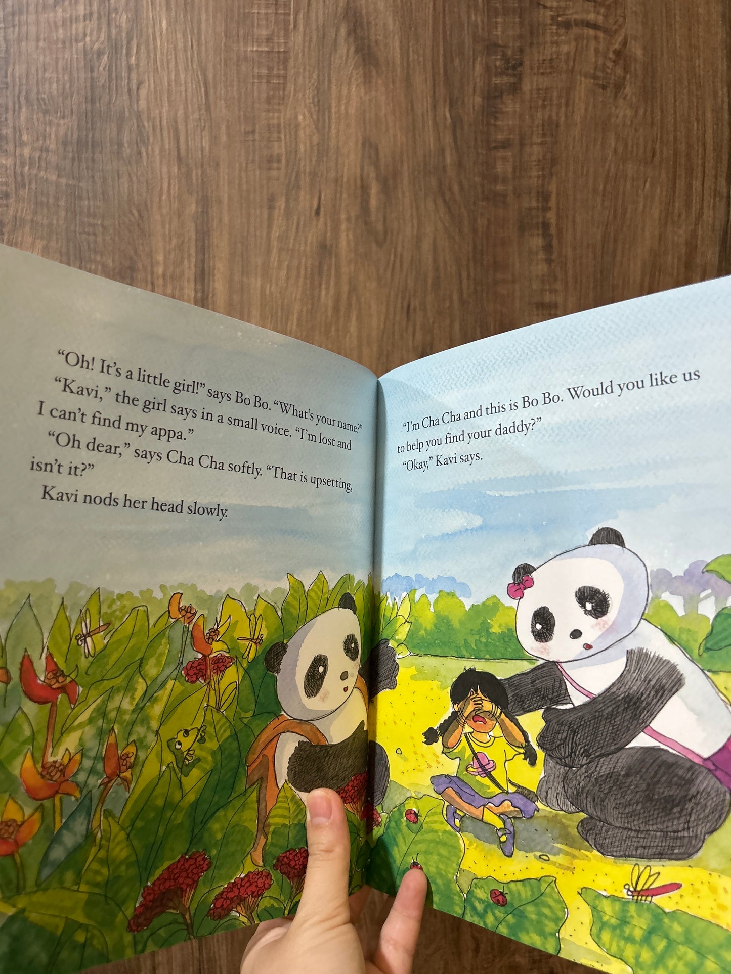 Bo Bo and Cha Cha and the Lost Child