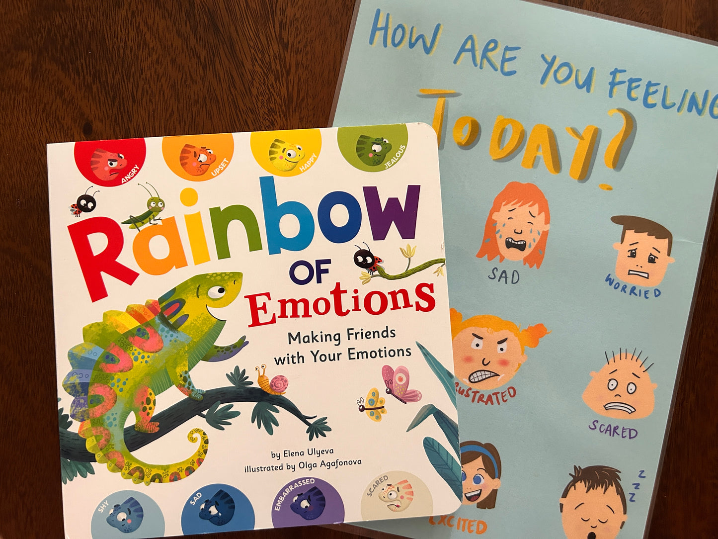 Rainbow of Emotions: Making Friends with Your Emotions