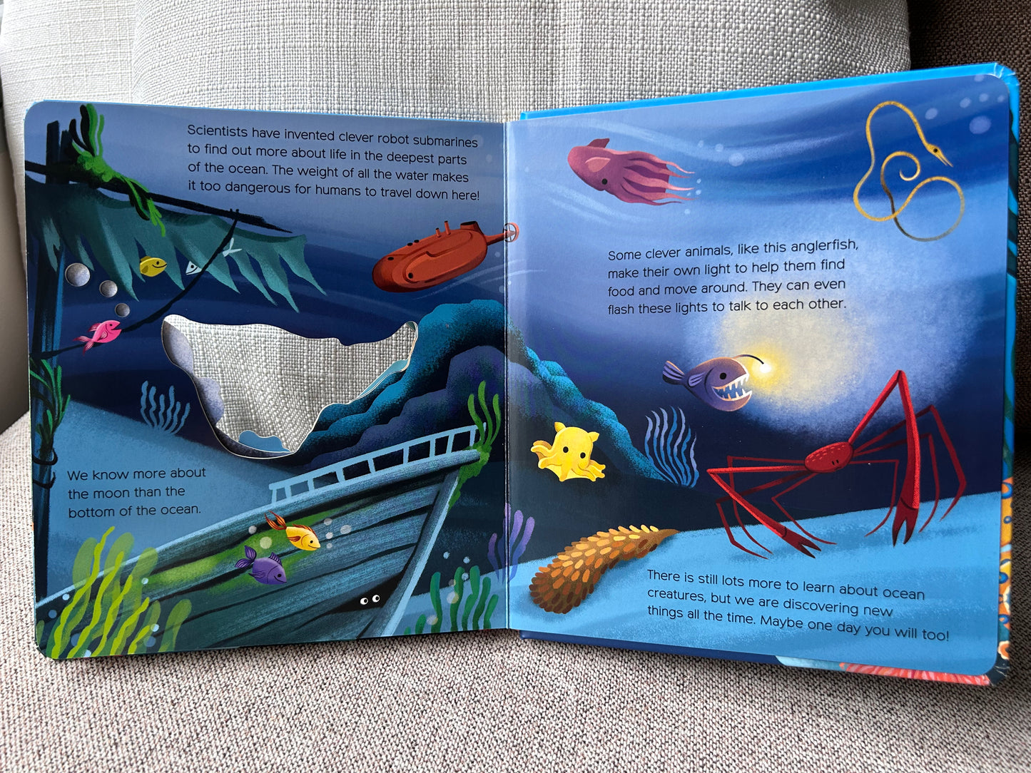 What Can You See? Under the Sea