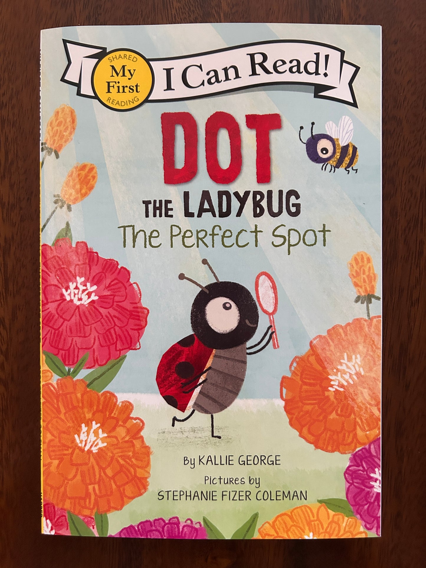 Dot the Ladybug: The Perfect Spot