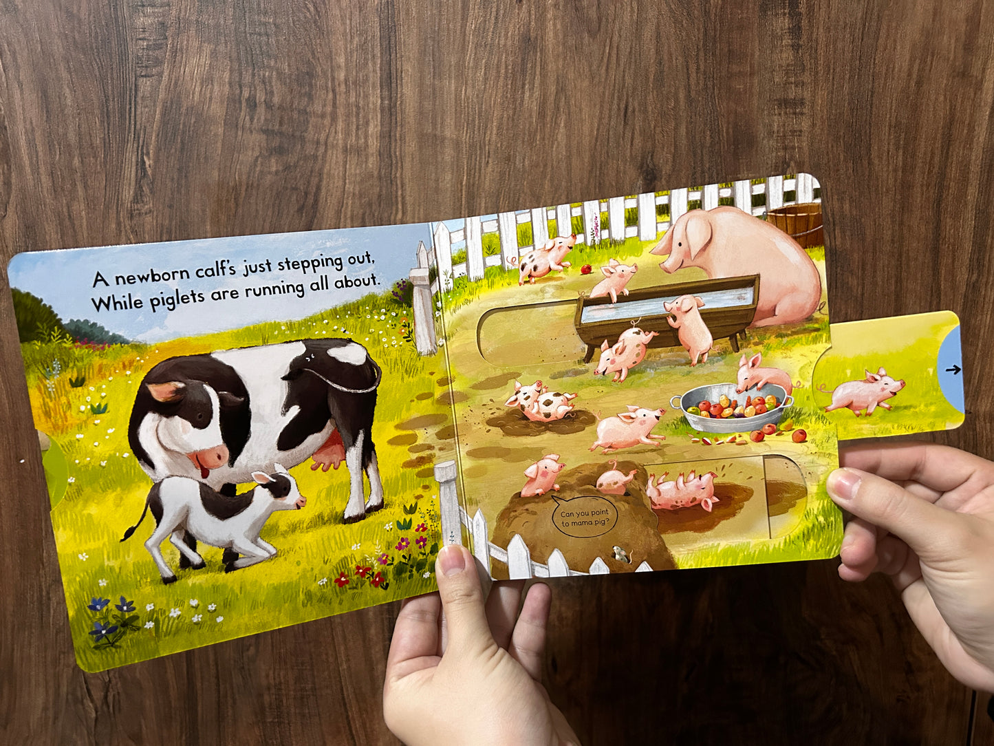 Busy Baby Animals