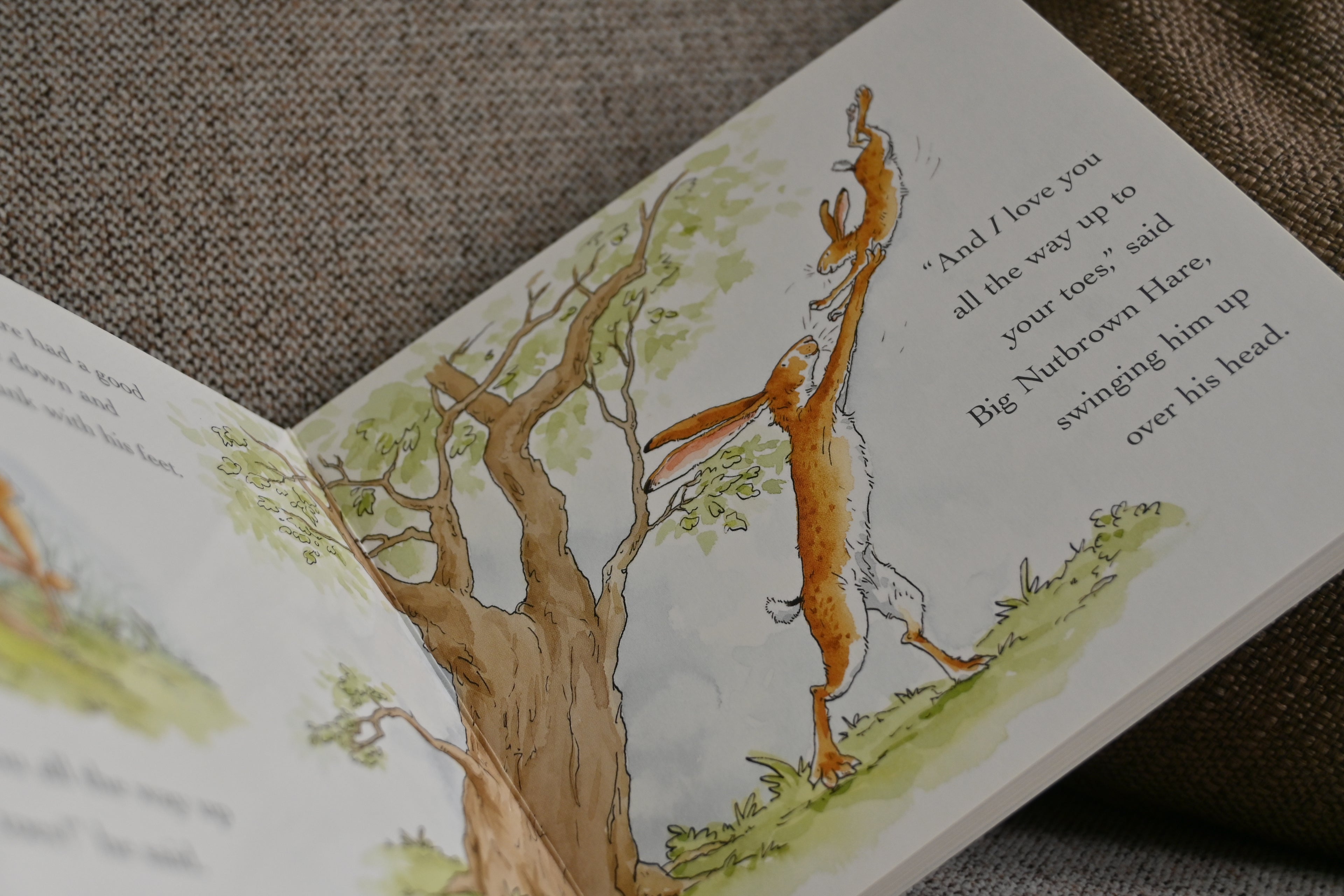 Newborn Book Box