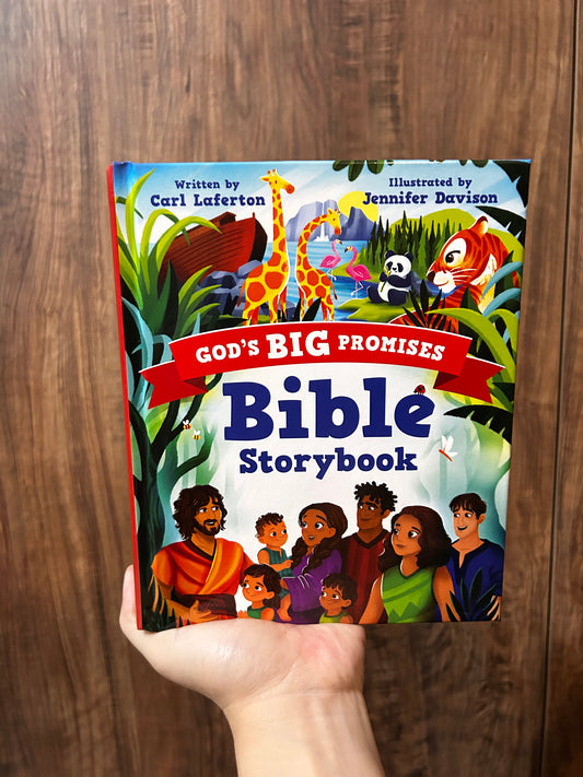 God's Big Promises Bible Storybook