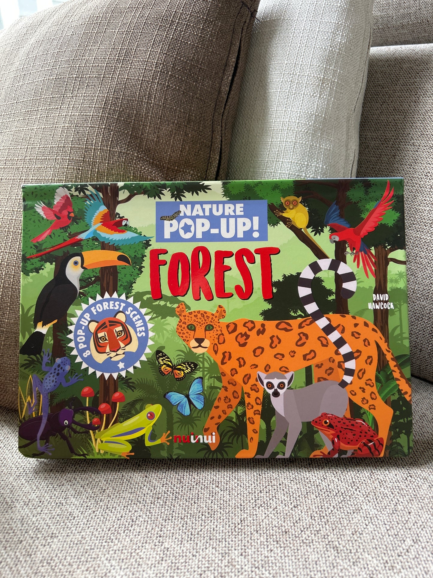Nature Pop Up: Forest