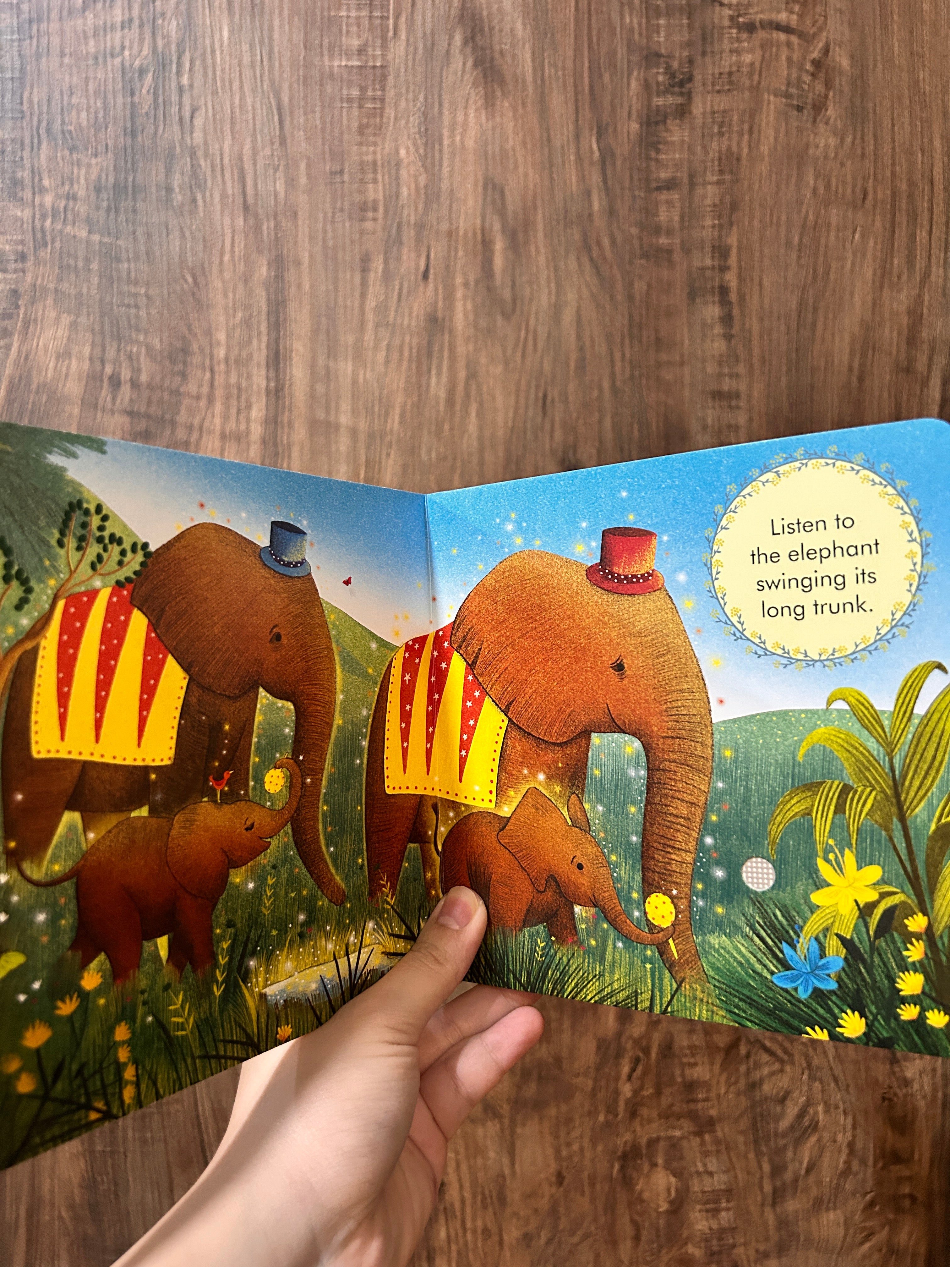 My First Story Orchestra: Carnival of the Animals