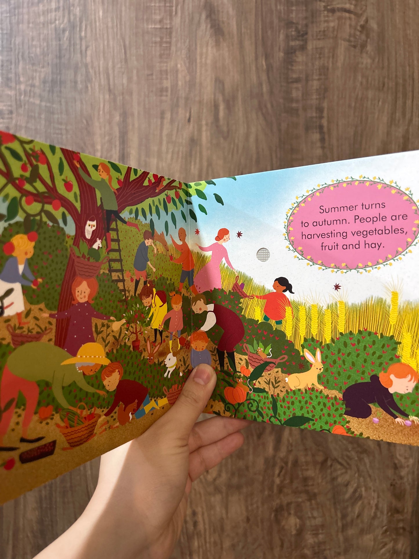 My First Story Orchestra: The Four Seasons in One Day :