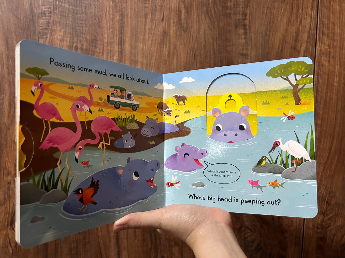 Busy Safari