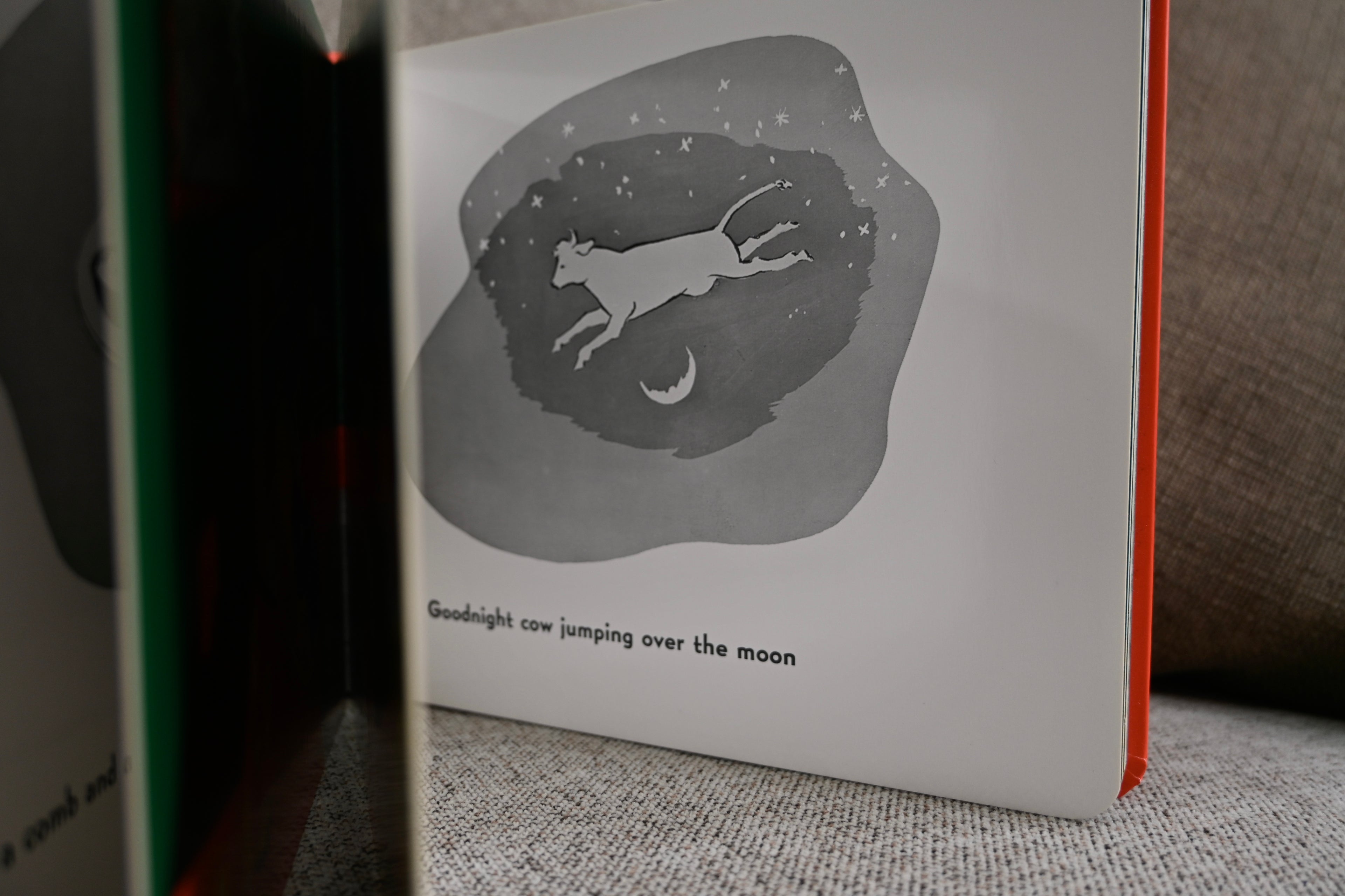 Newborn Book Box