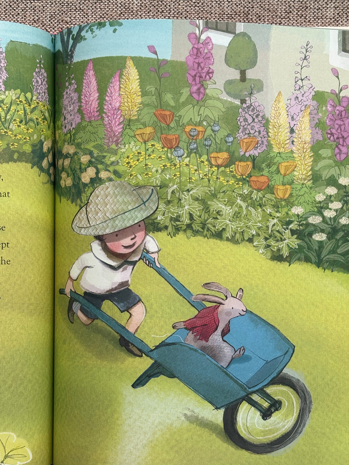 The Velveteen Rabbit (Gift edition)