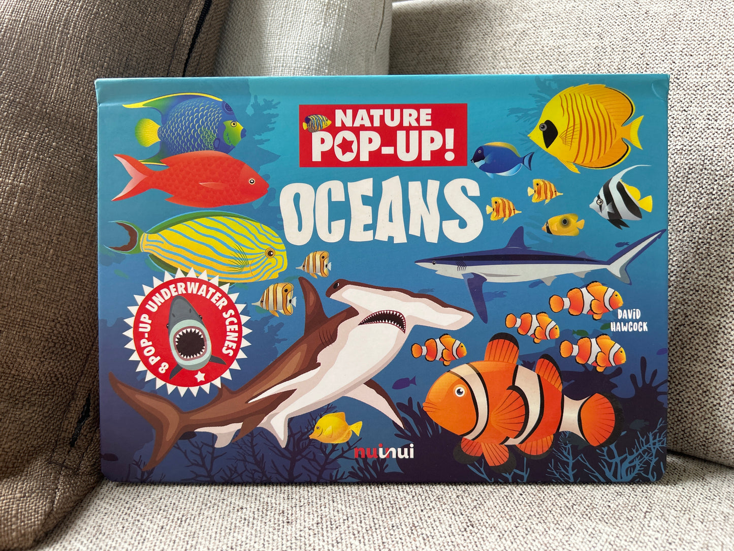 Nature Pop Up: Oceans