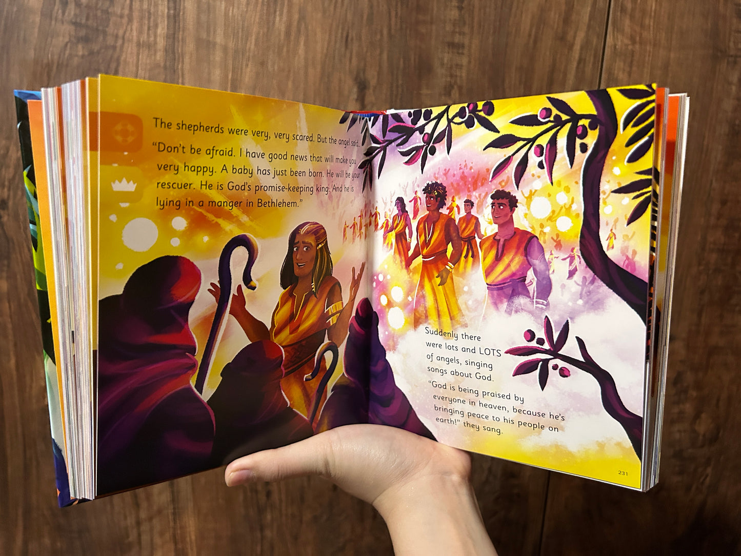 God's Big Promises Bible Storybook