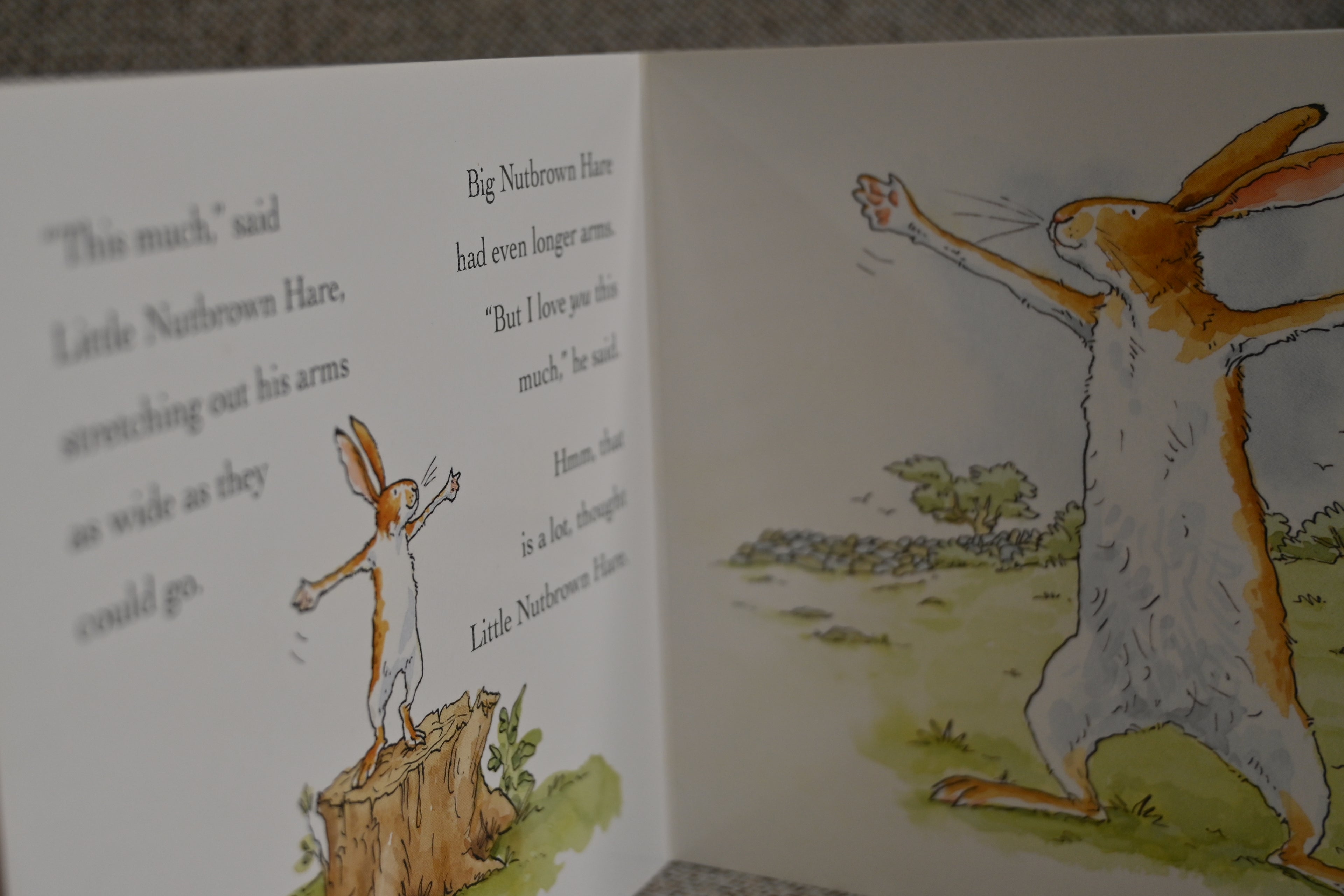Newborn Book Box