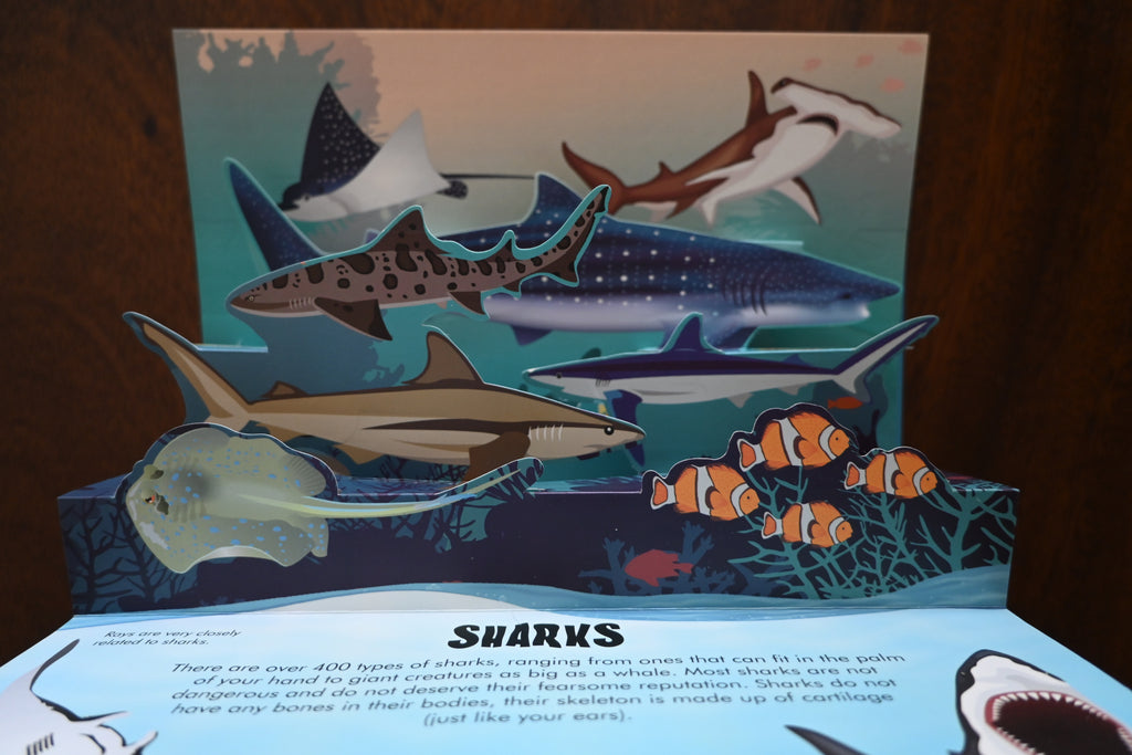 Nature Pop Up: Oceans