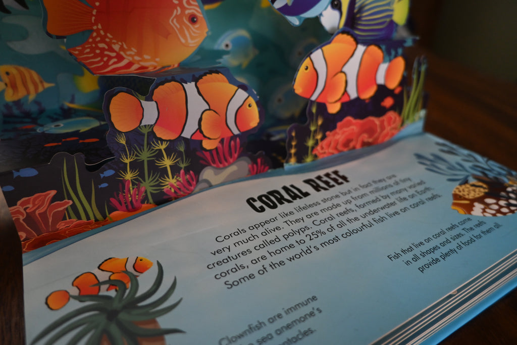 Nature Pop Up: Oceans