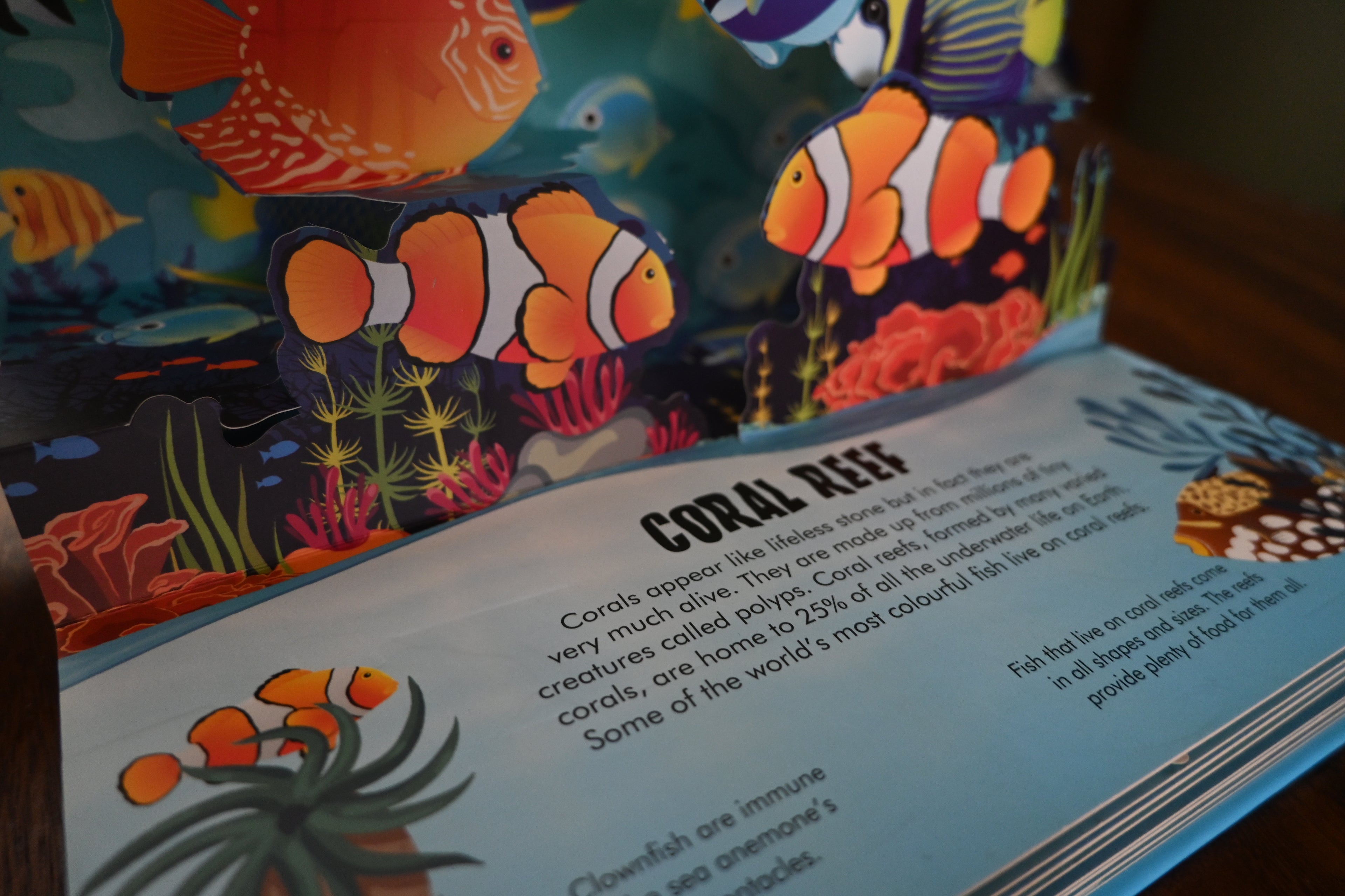 Nature Pop Up: Oceans