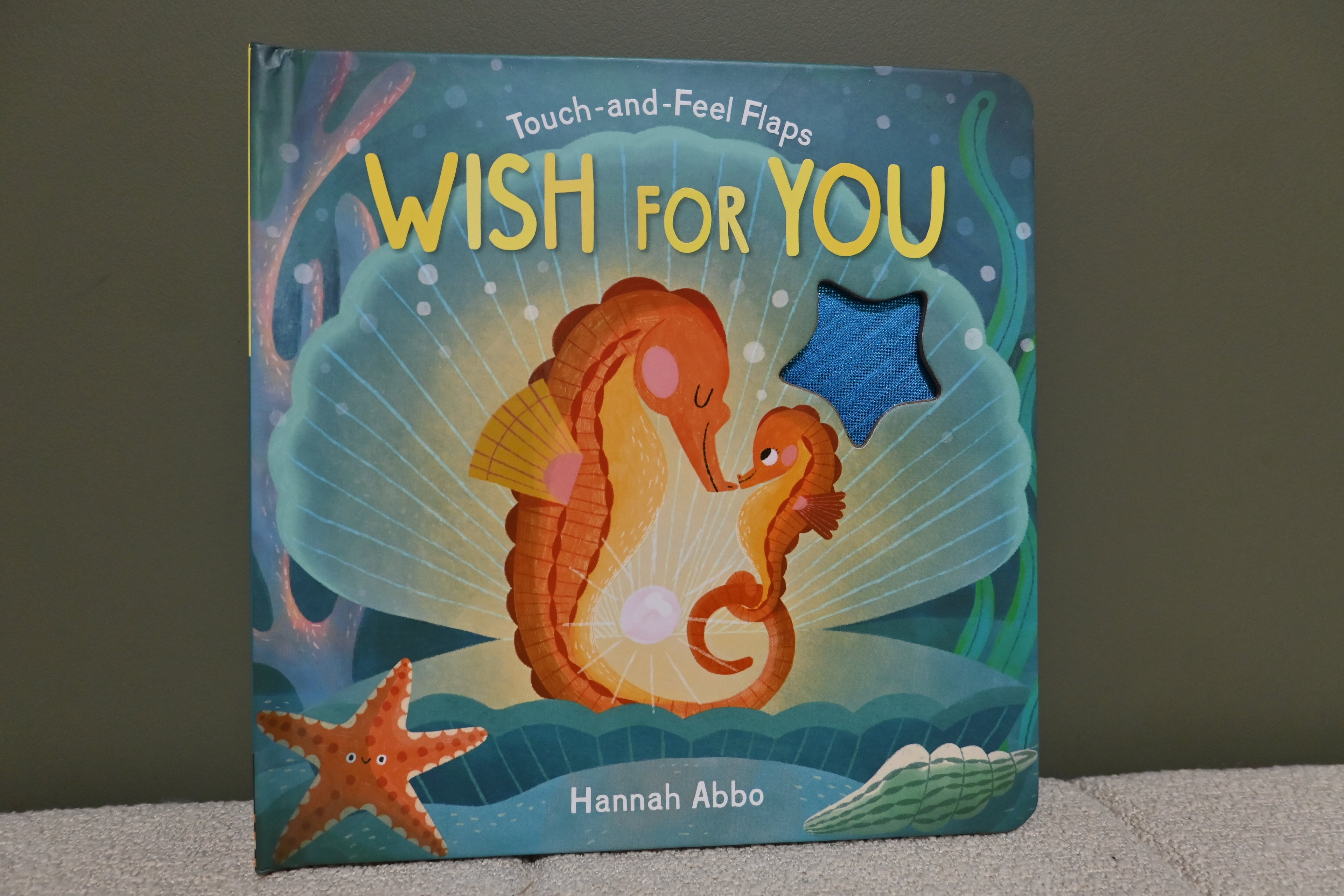 A Wish For You (Touch-And-Feel Flaps)