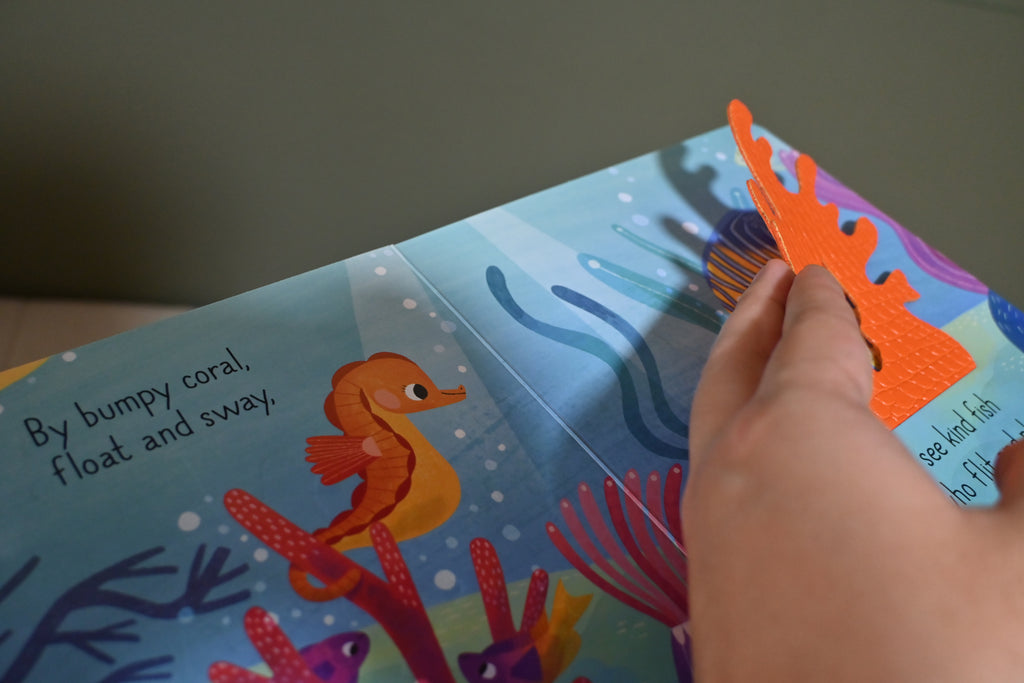 A Wish For You (Touch-And-Feel Flaps)