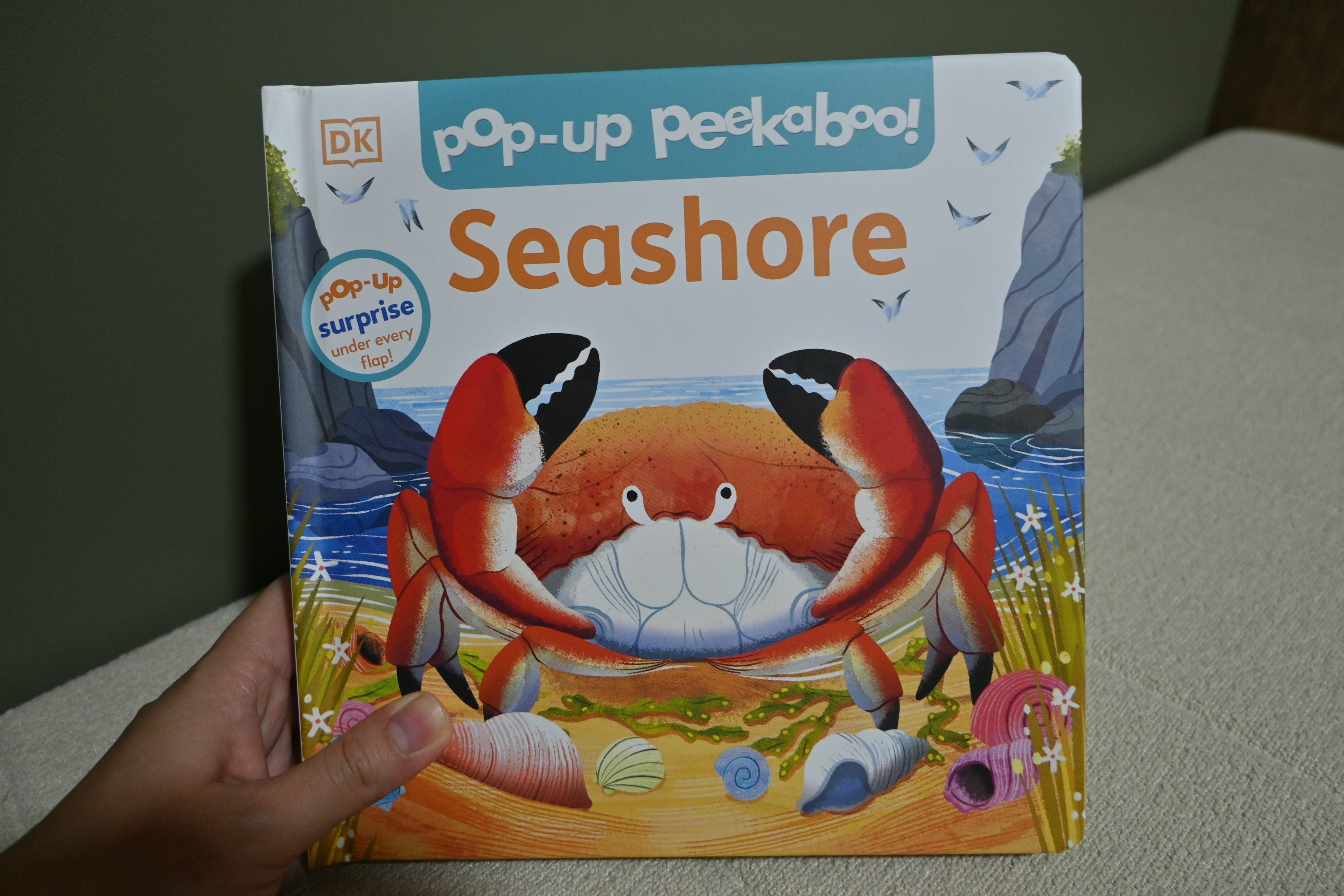 Pop-up Peekaboo: Seashore
