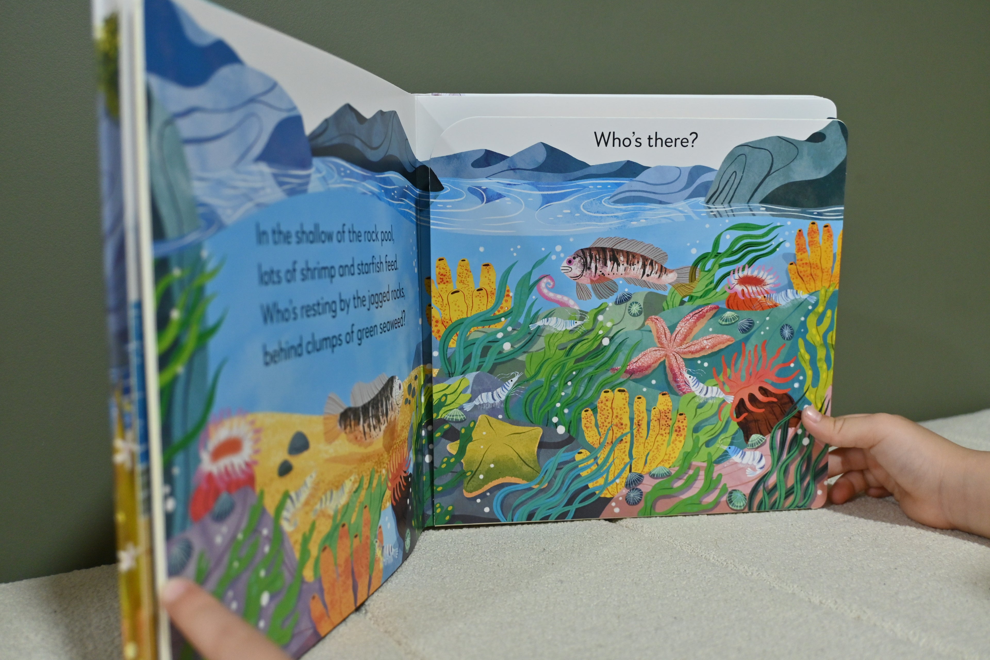 Pop-up Peekaboo: Seashore