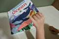Pop-up Peekaboo: Seashore