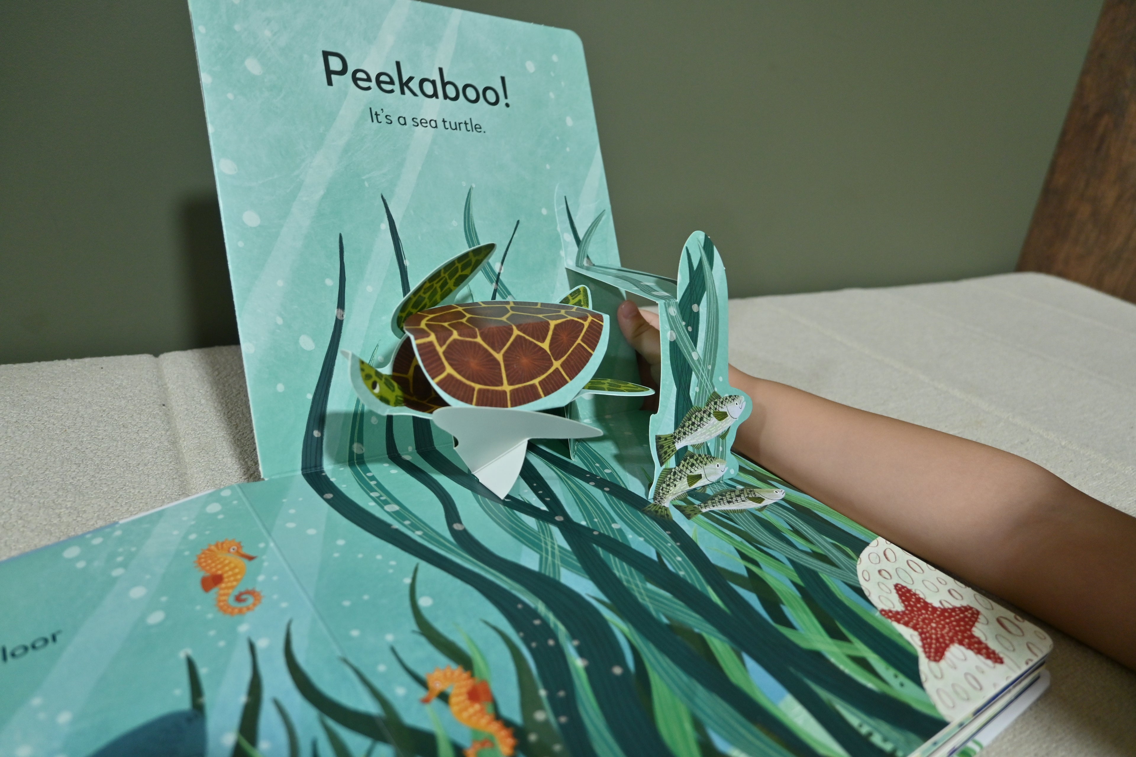 Pop-up Peekaboo: Ocean