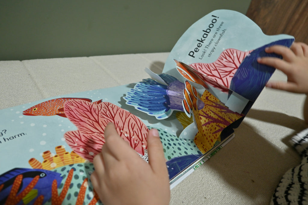 Pop-up Peekaboo: Ocean