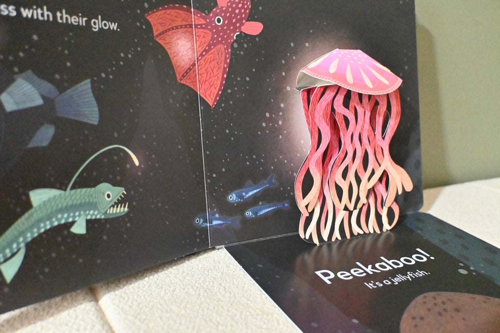 Pop-up Peekaboo: Seashore