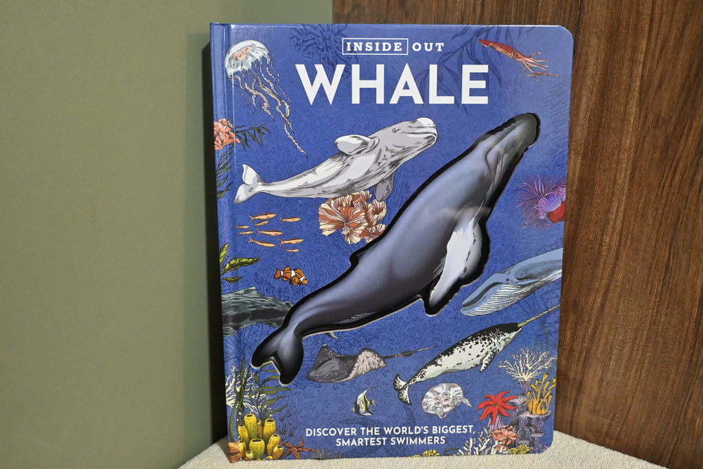 Inside Out Whale: Discover the World's Biggest, Smartest Swimmers