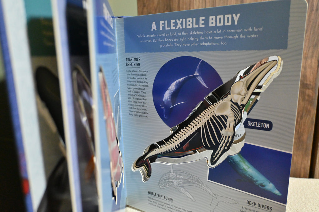 Inside Out Whale: Discover the World's Biggest, Smartest Swimmers