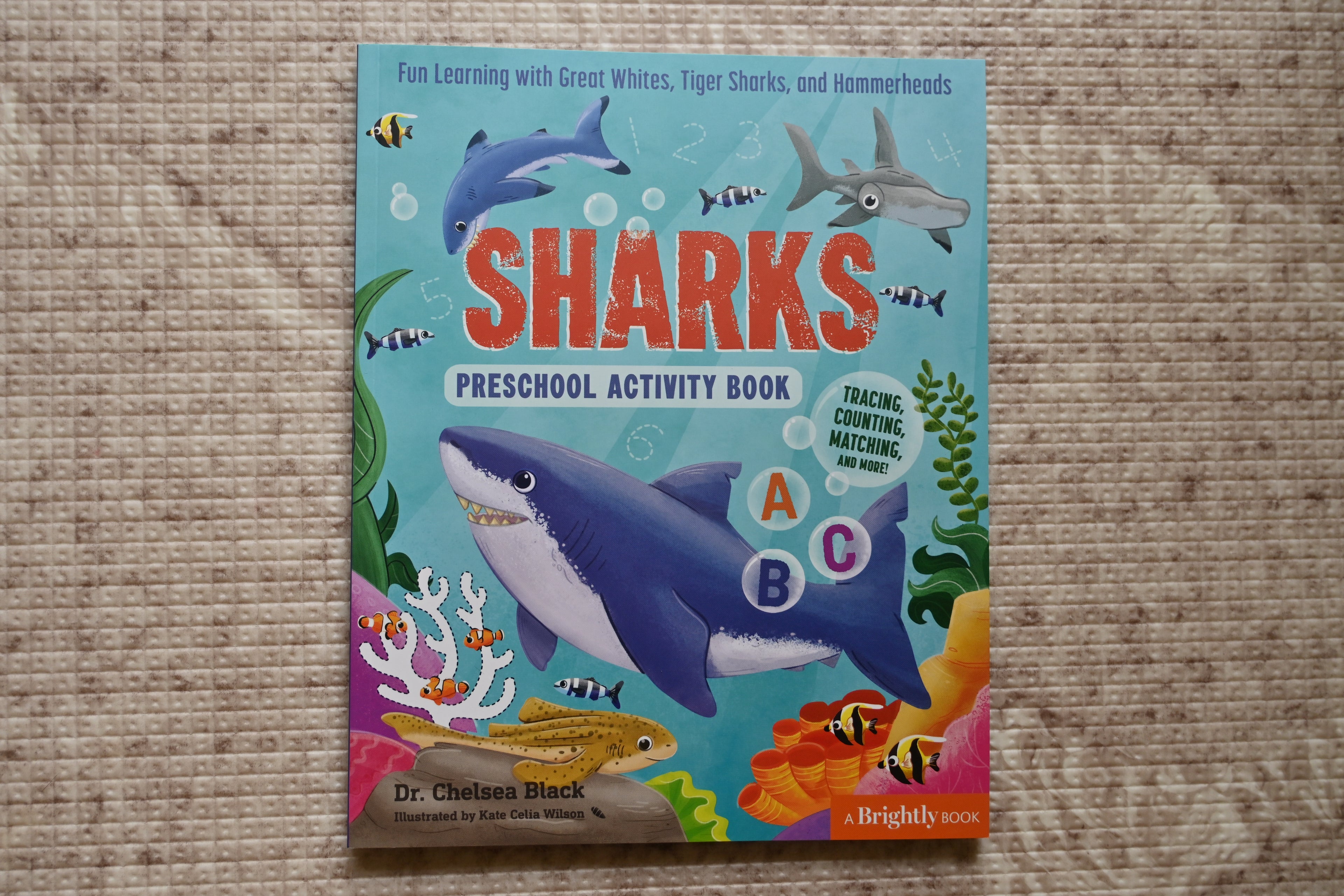 Sharks Preschool Activity Book: Fun Learning With Great Whites, Tiger Sharks, and Hammerheads