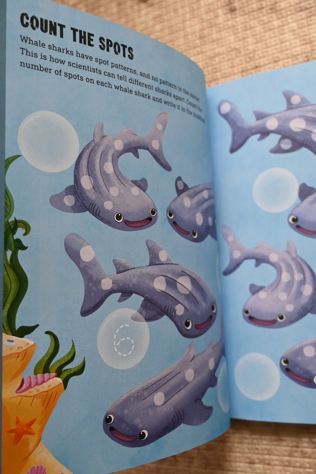 Sharks Preschool Activity Book: Fun Learning With Great Whites, Tiger Sharks, and Hammerheads