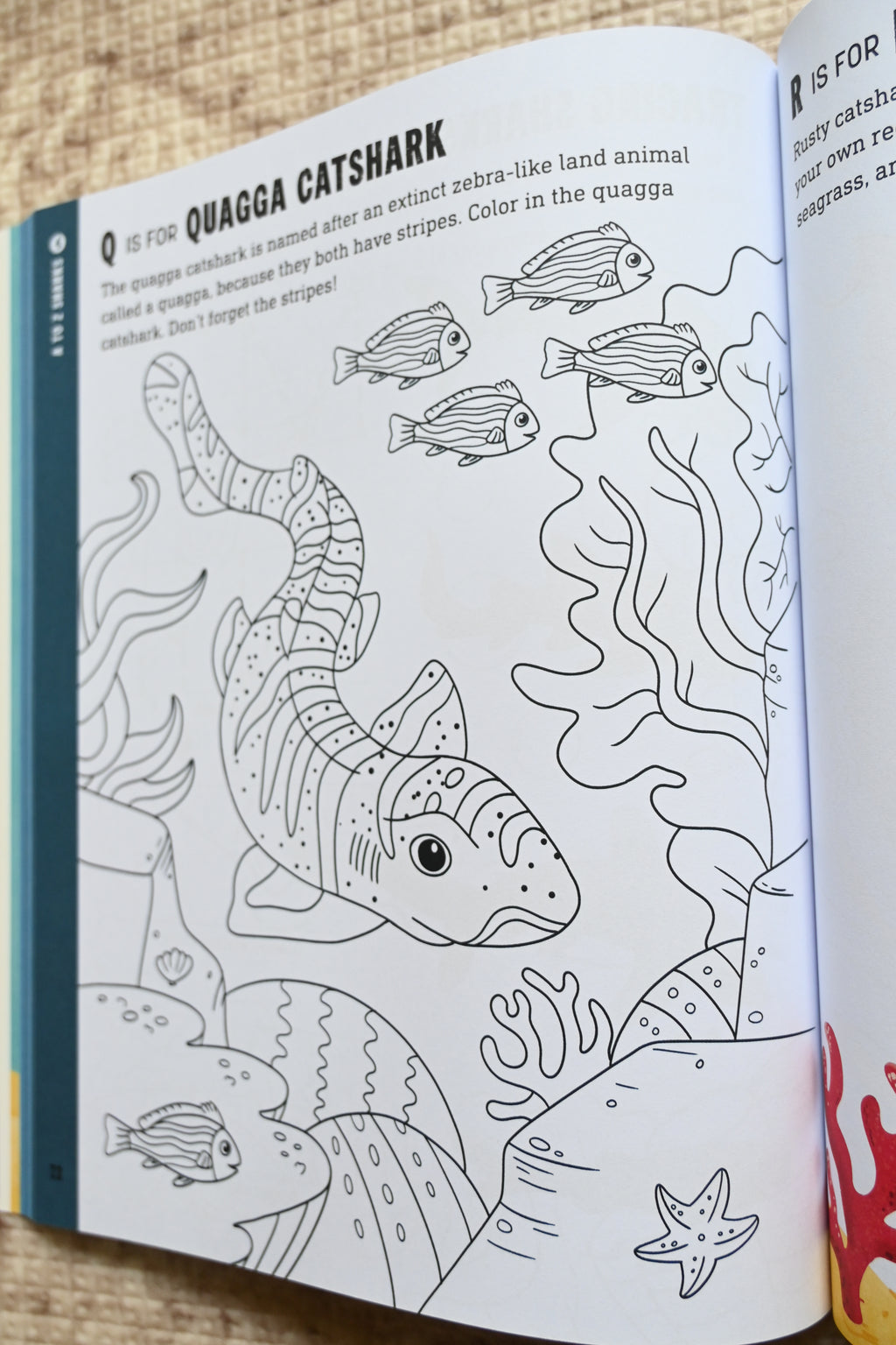 Sharks Preschool Activity Book: Fun Learning With Great Whites, Tiger Sharks, and Hammerheads