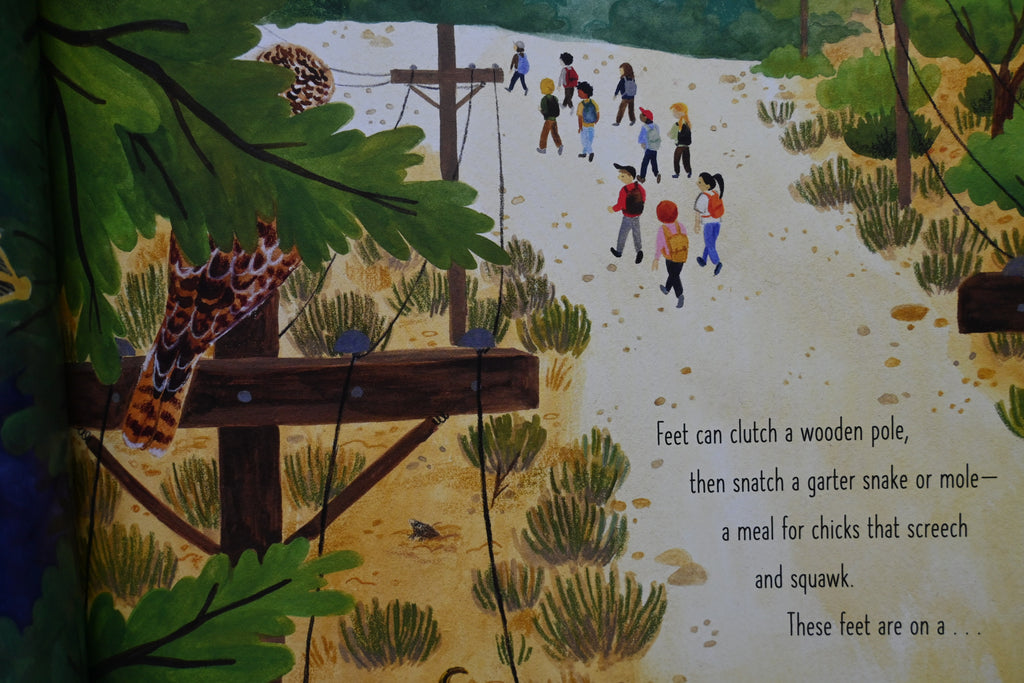 Fancy Feet: Guess Who's Walking (The Nature Riddles and Rhymes Series)
