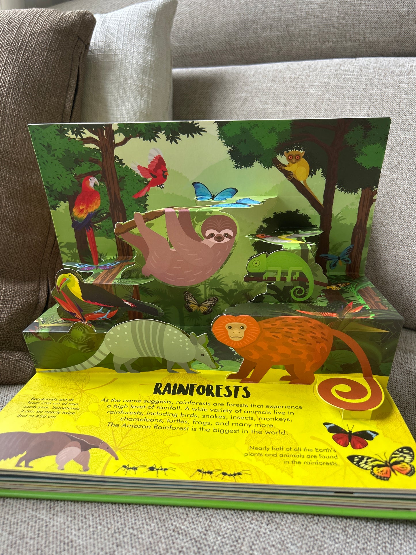 Nature Pop Up: Forest