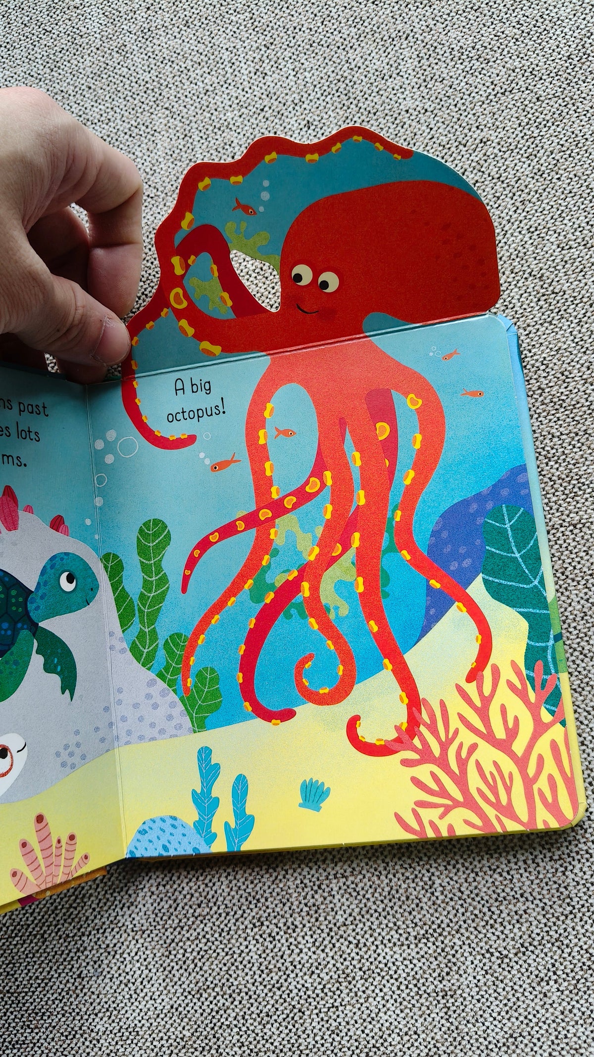 Little Lift and Look Under the Sea