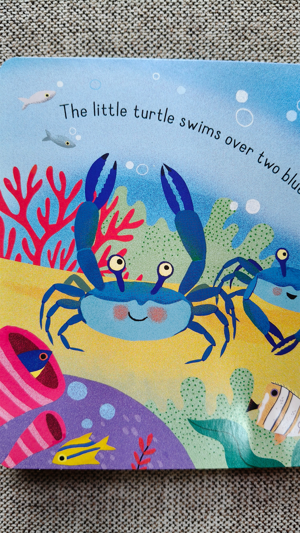 Little Lift and Look Under the Sea