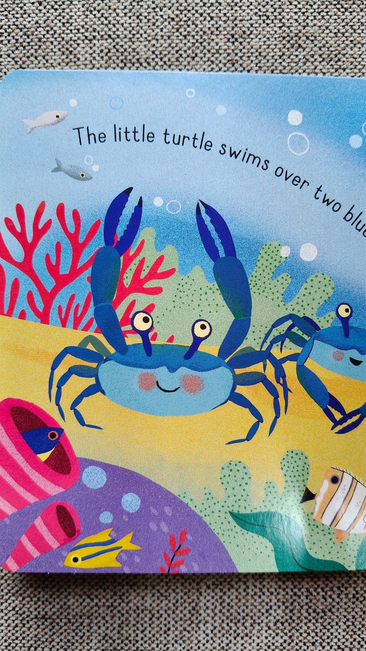 Little Lift and Look Under the Sea