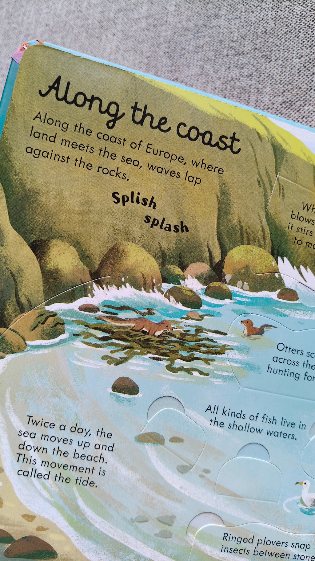 Look Inside Seas and Oceans
