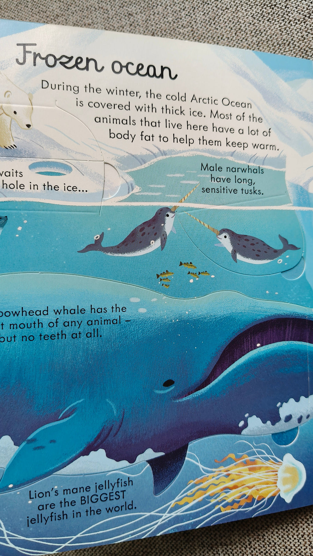 Look Inside Seas and Oceans