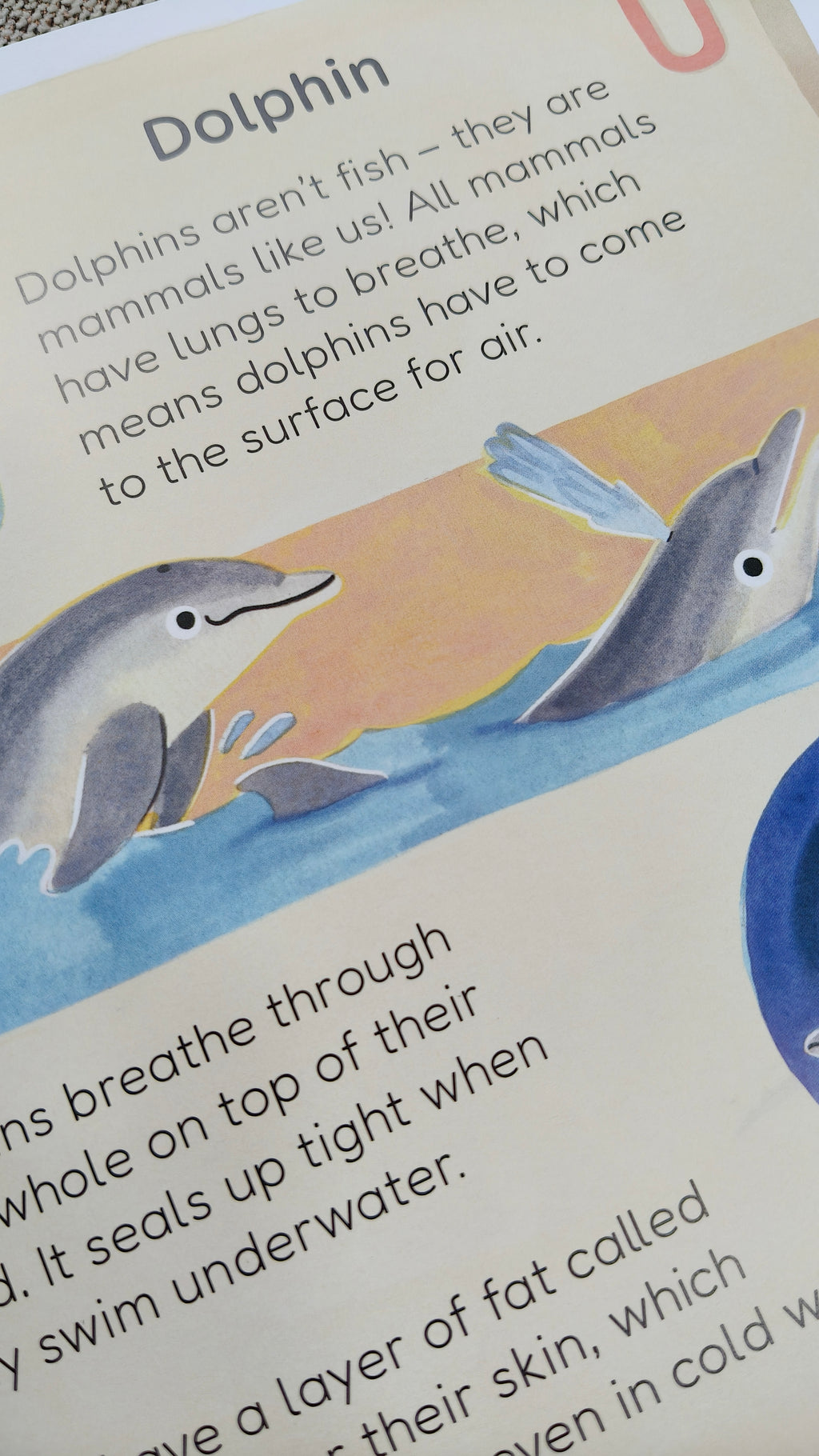 Don't Call Me a Fish!
