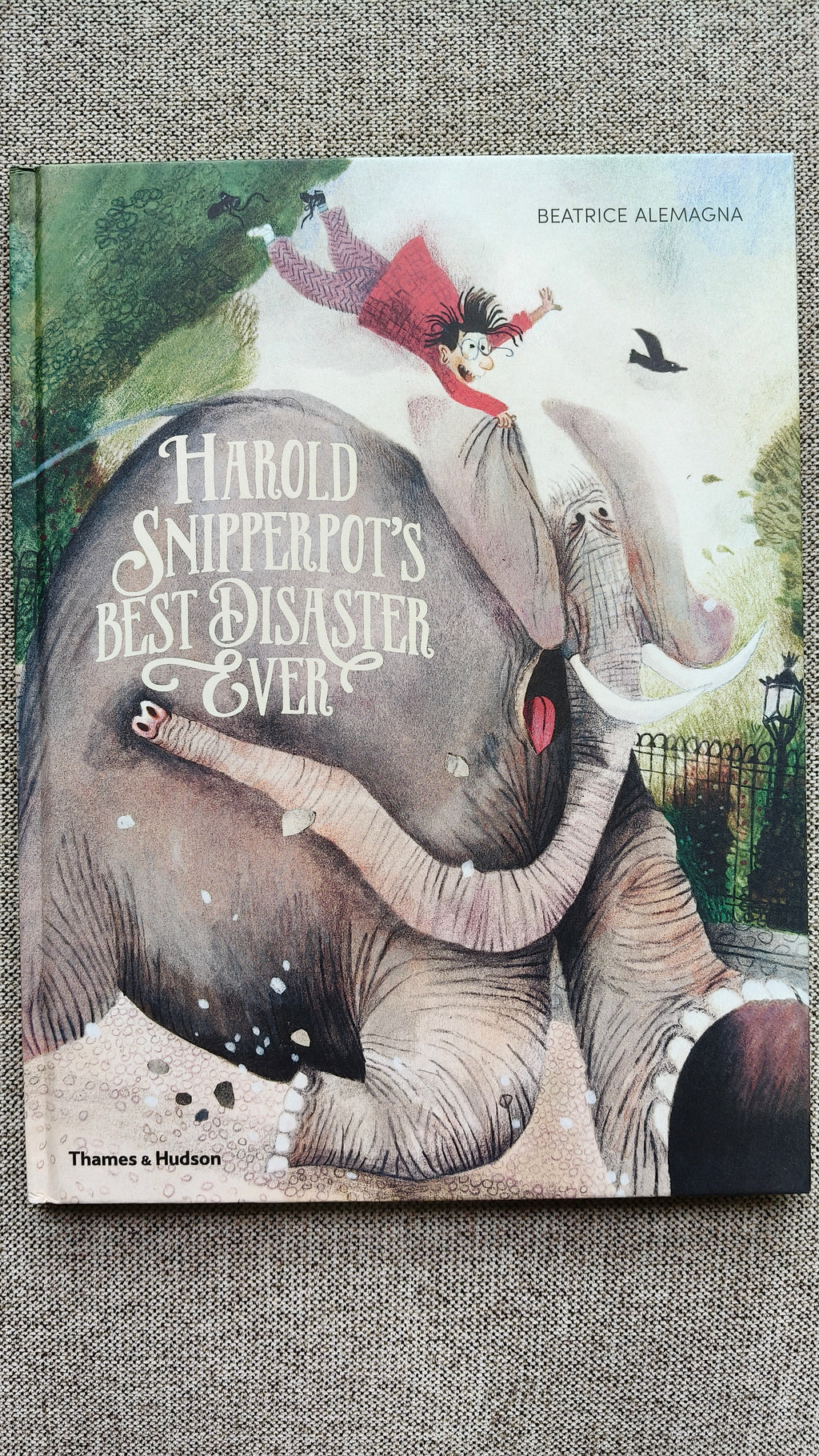 Harold Snipperpot's Best Disaster Ever