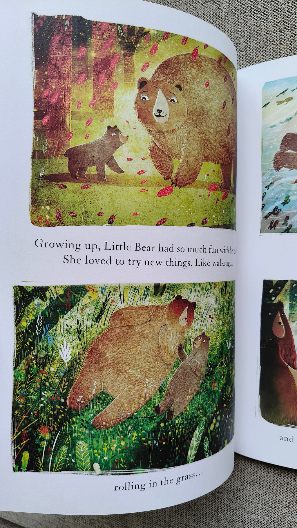 The Bear, the Piano and Little Bear's Concert (Paperback)