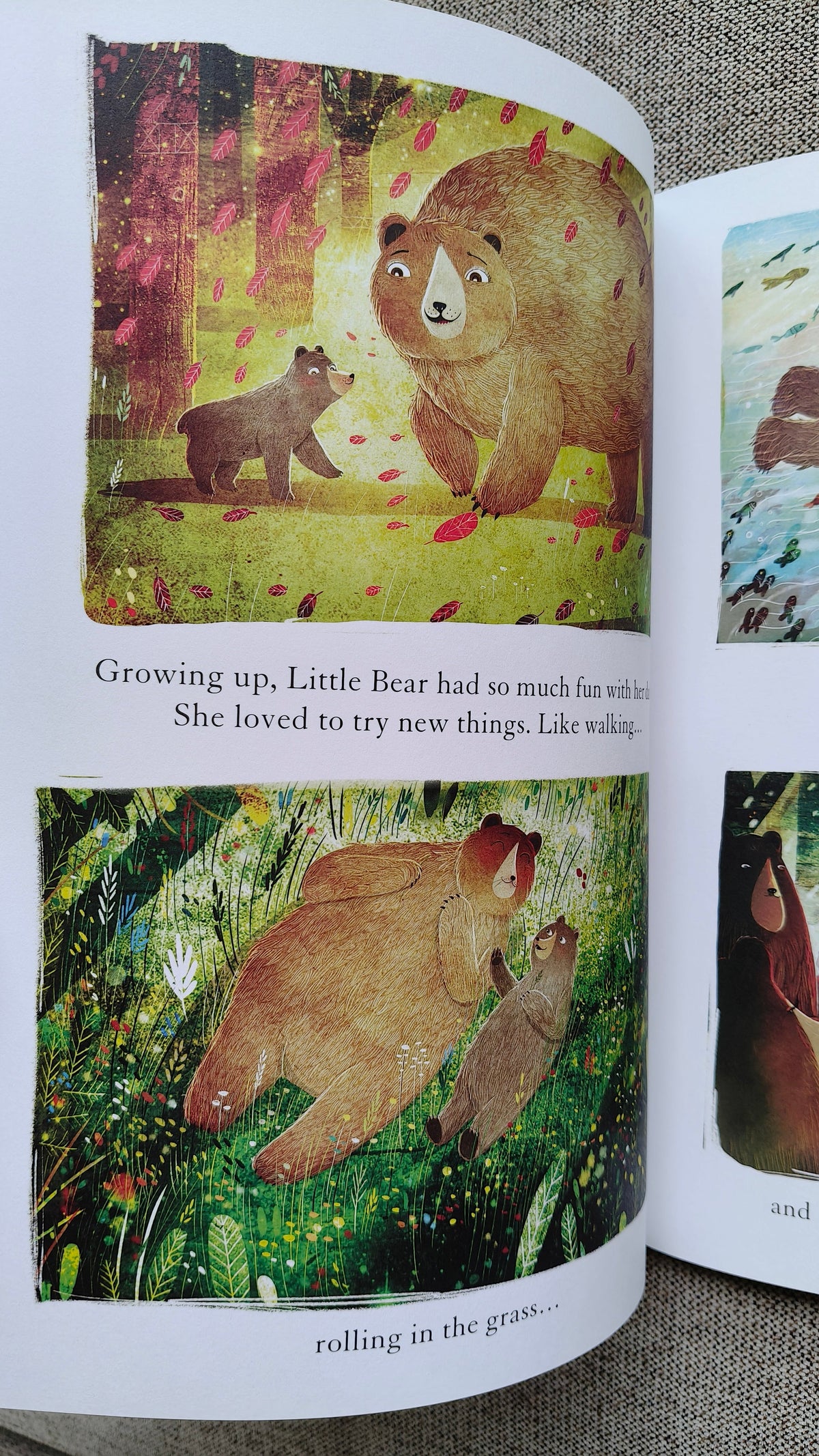 The Bear, the Piano and Little Bear's Concert (Paperback)
