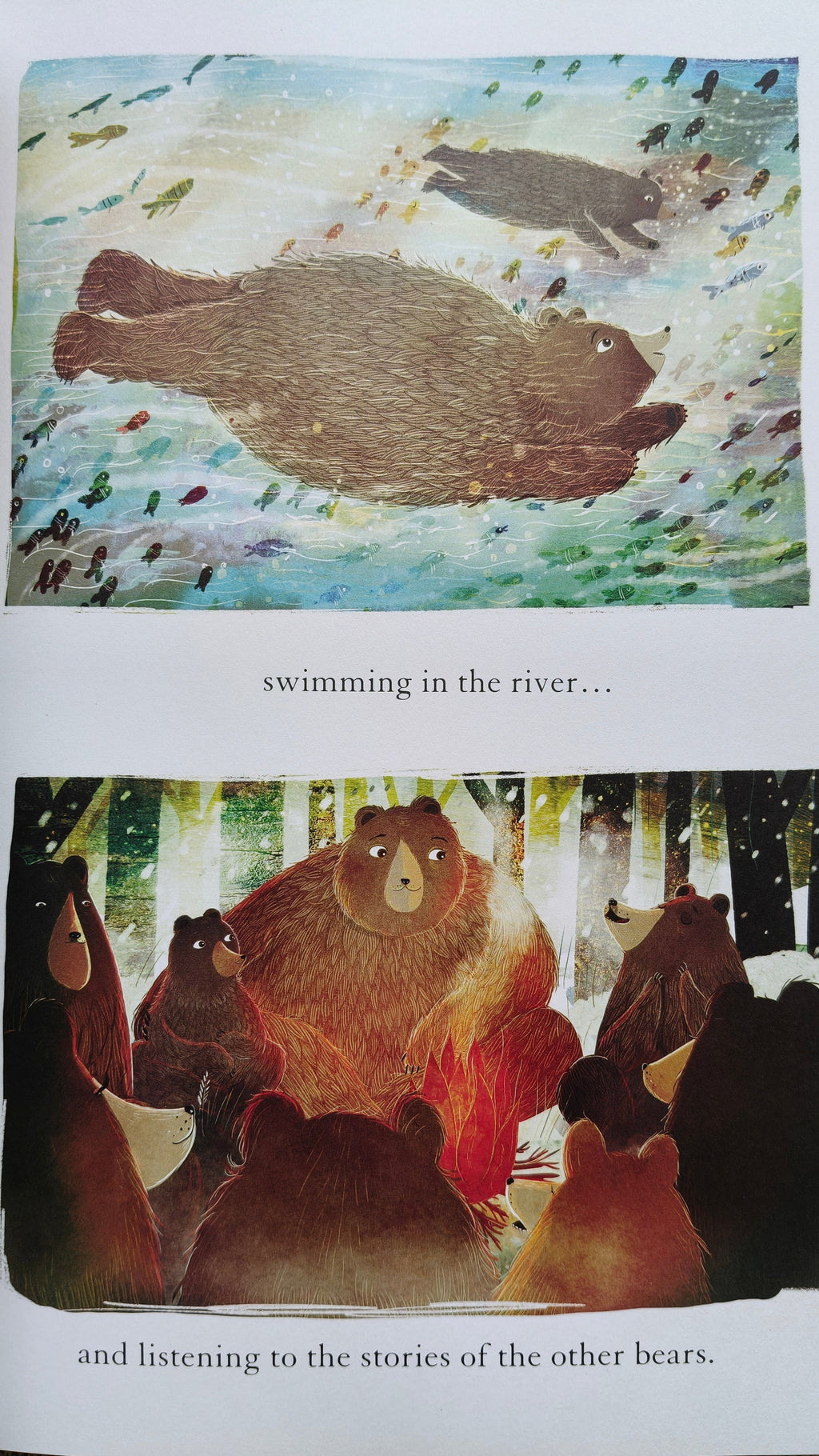 The Bear, the Piano and Little Bear's Concert (Paperback)