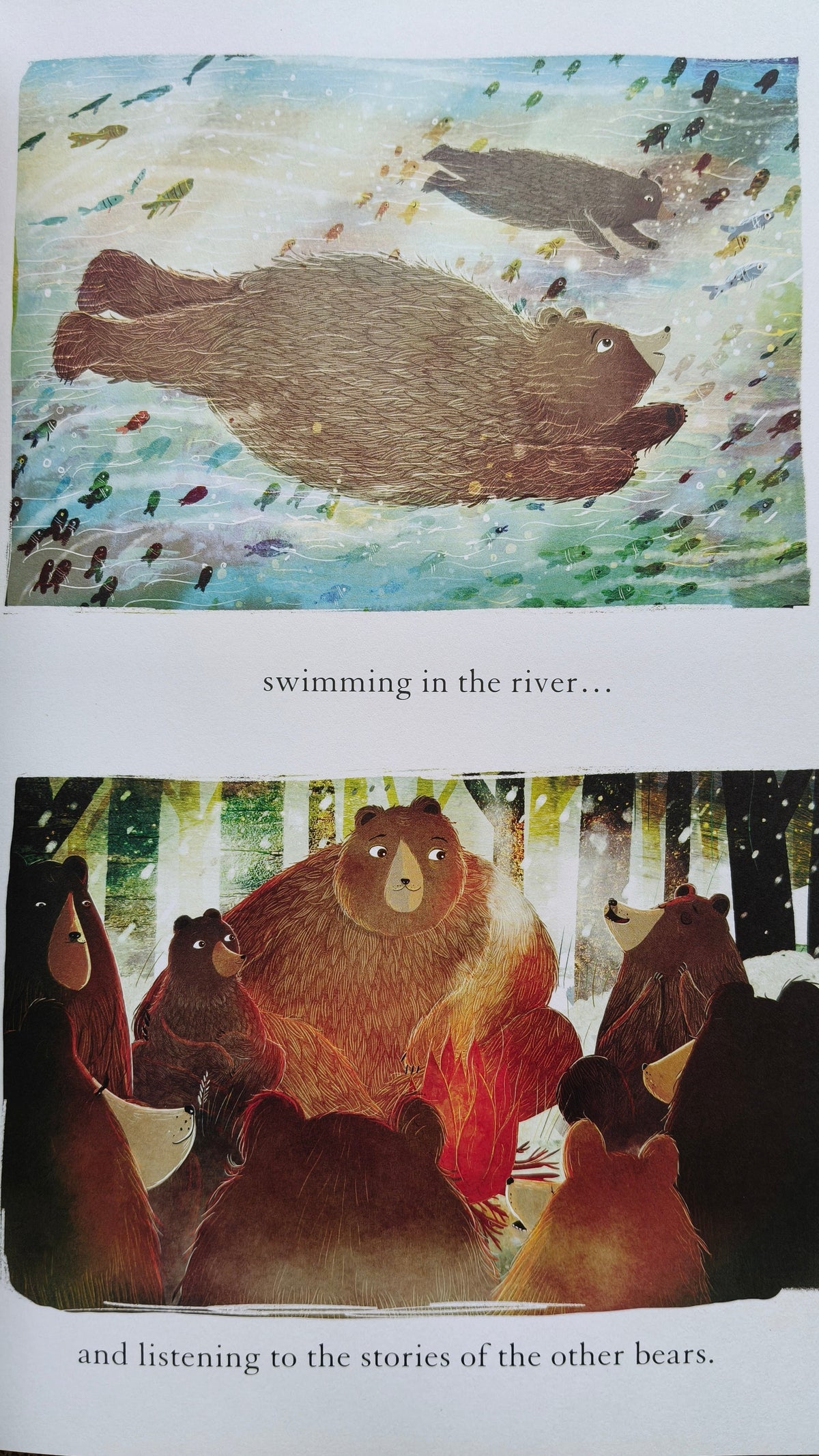 The Bear, the Piano and Little Bear's Concert (Paperback)
