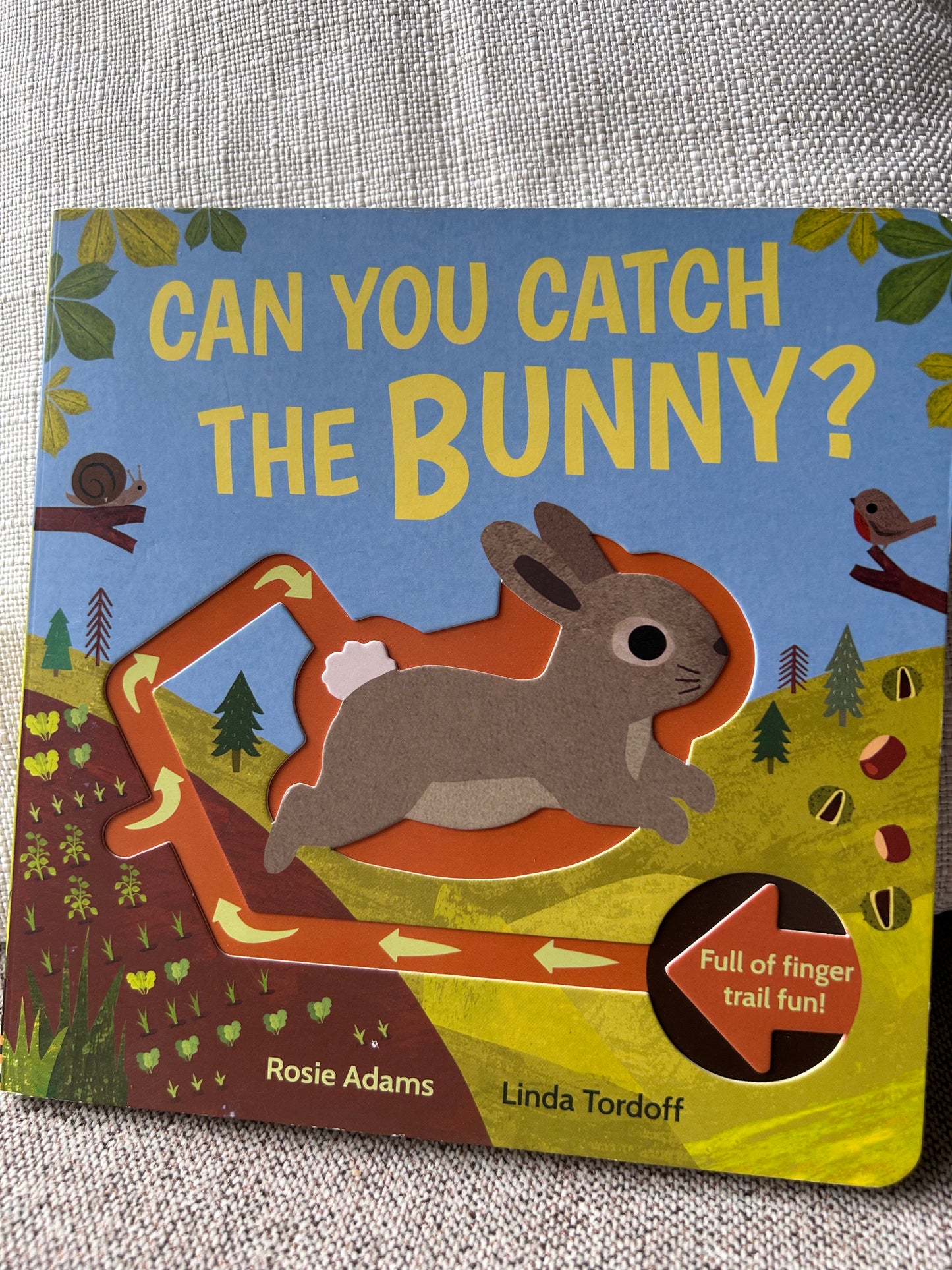 Can You Catch the Bunny?