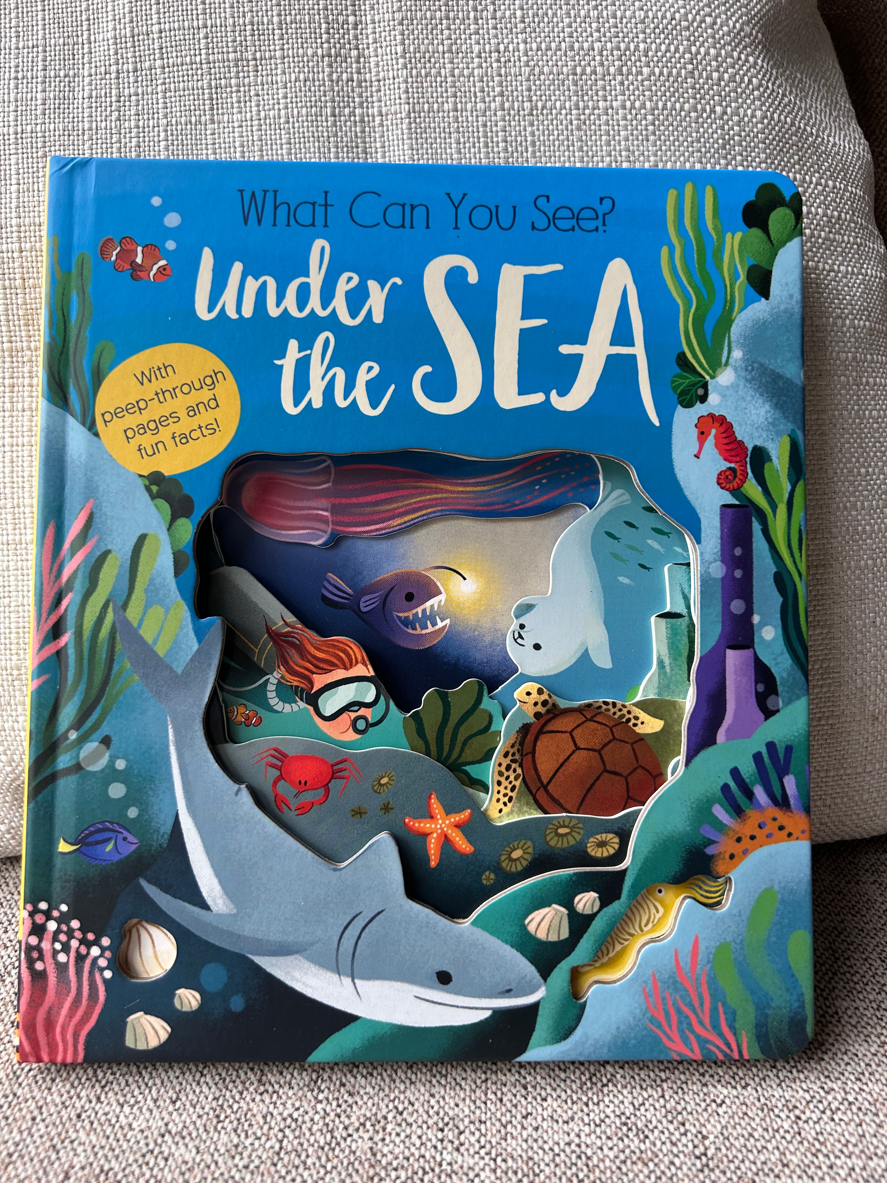 What Can You See? Under the Sea