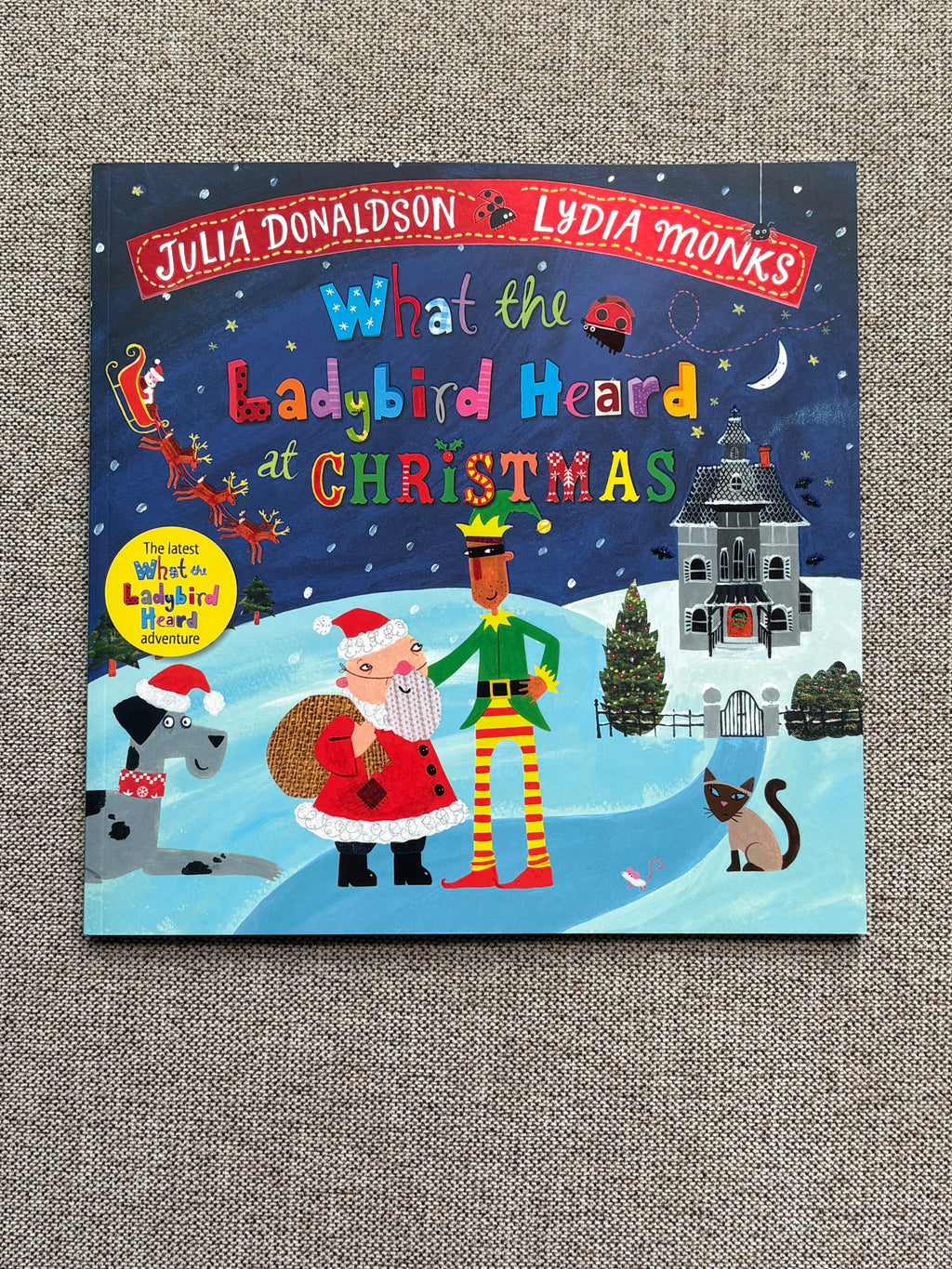 What the Ladybird Heard at Christmas (Paperback)