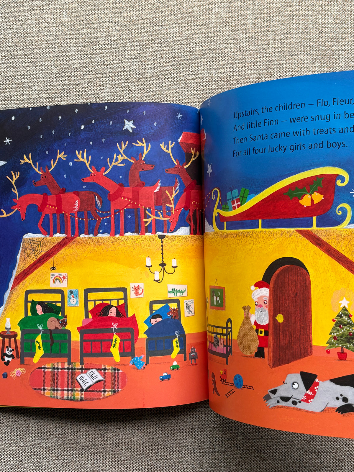 What the Ladybird Heard at Christmas (Paperback)