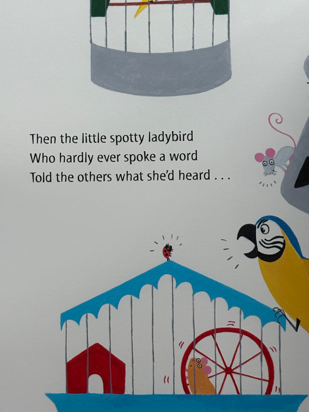 What the Ladybird Heard at Christmas (Paperback)